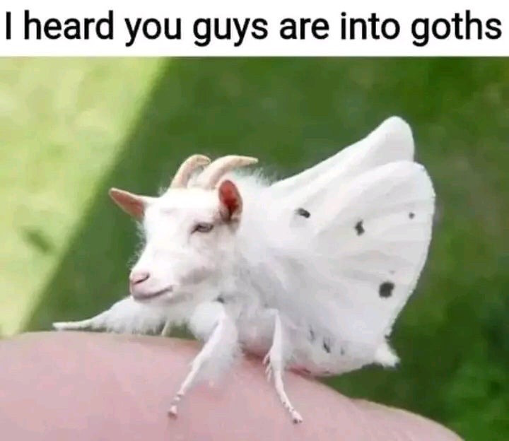 Original edit for this meme