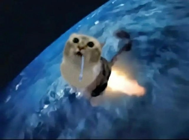 Edited Coughing Cat