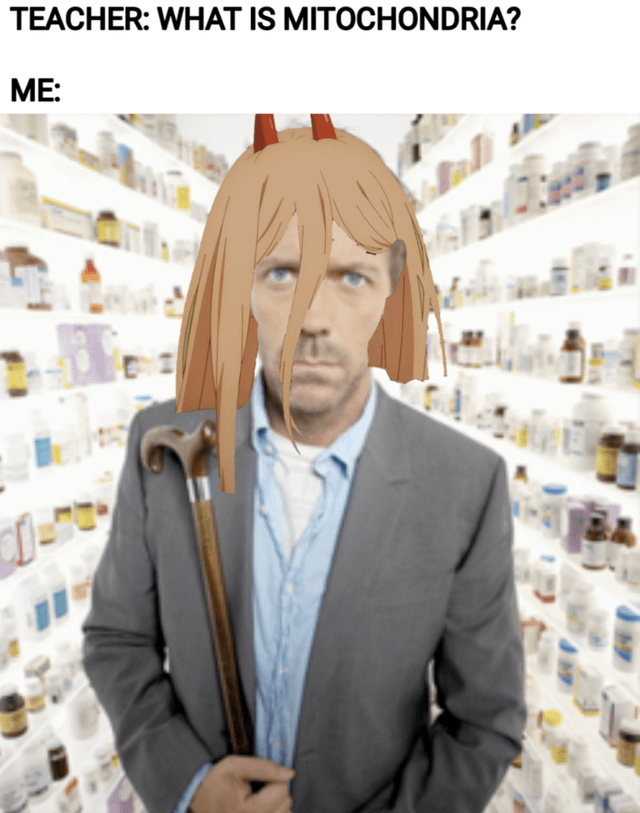 House M.D. (Real Person) + Original Anime Elements