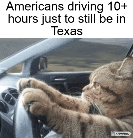Viral Meme Template (Real Animal)
