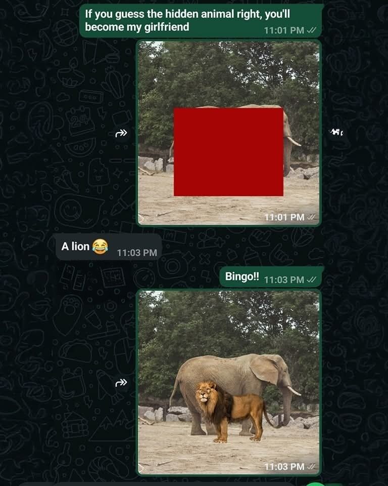Real Wild/Rescue Animal