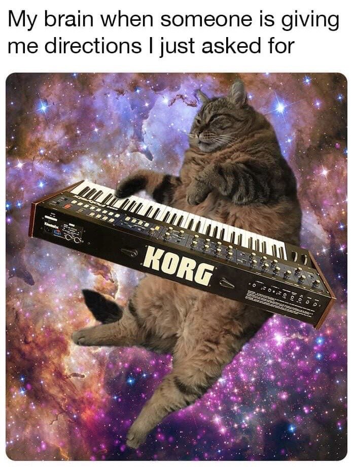 Viral internet cat meme template