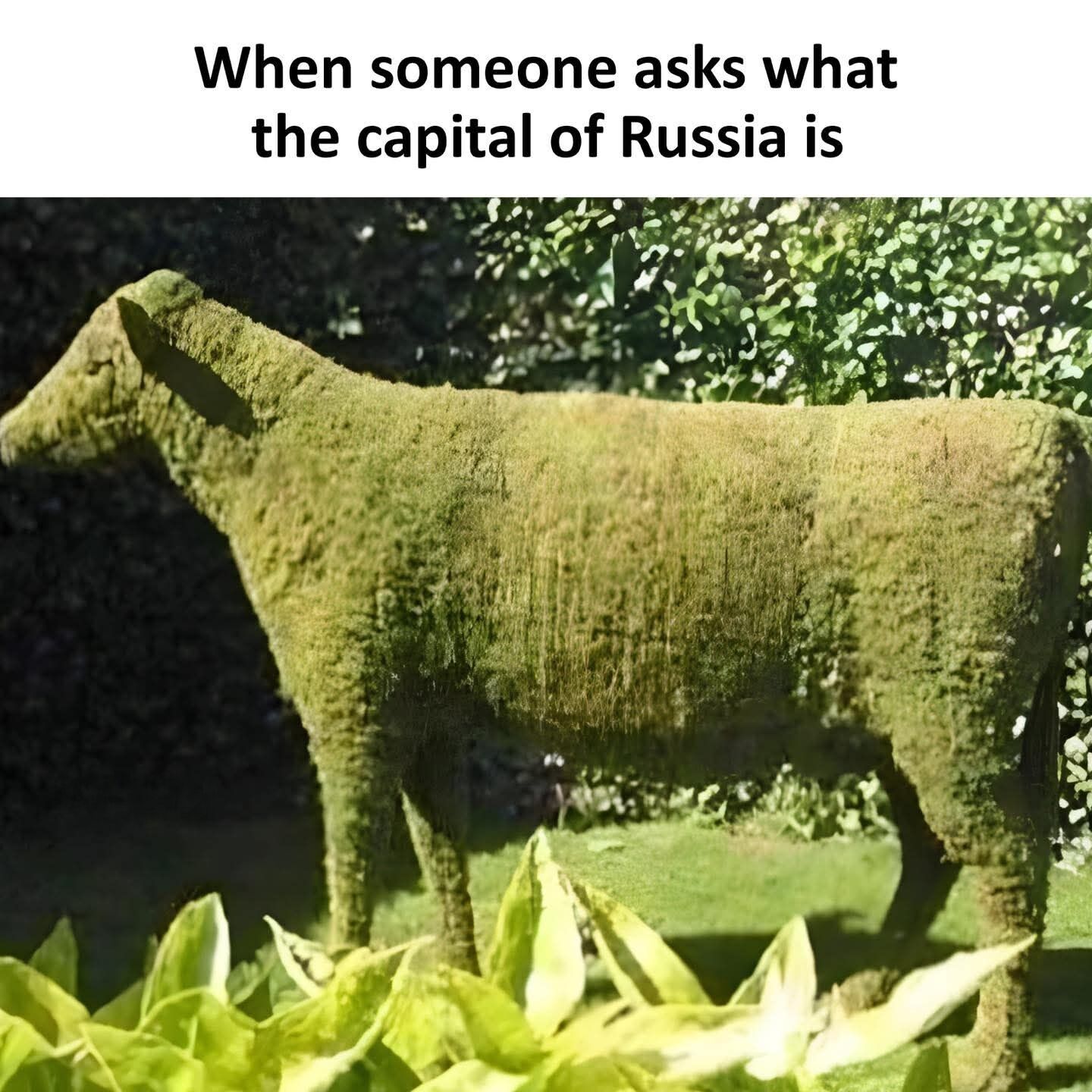 Real Garden Sculpture
