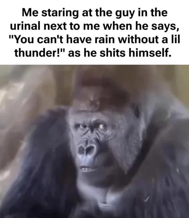 Real Animals
