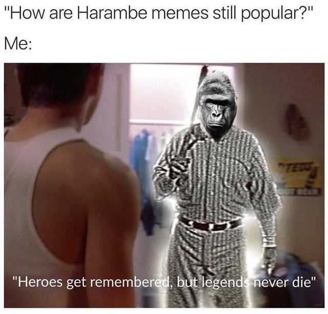 Internet meme / real gorilla, edited into The Sandlot scene