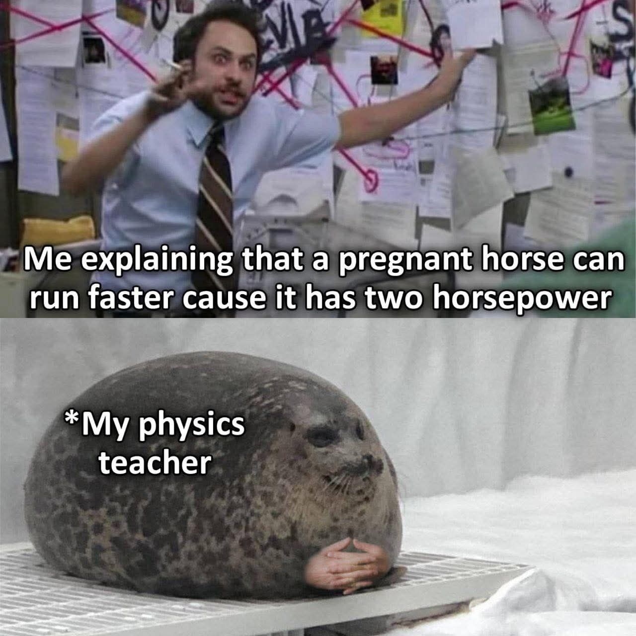 Edited Meme Addition