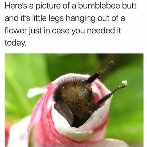 Real Nature