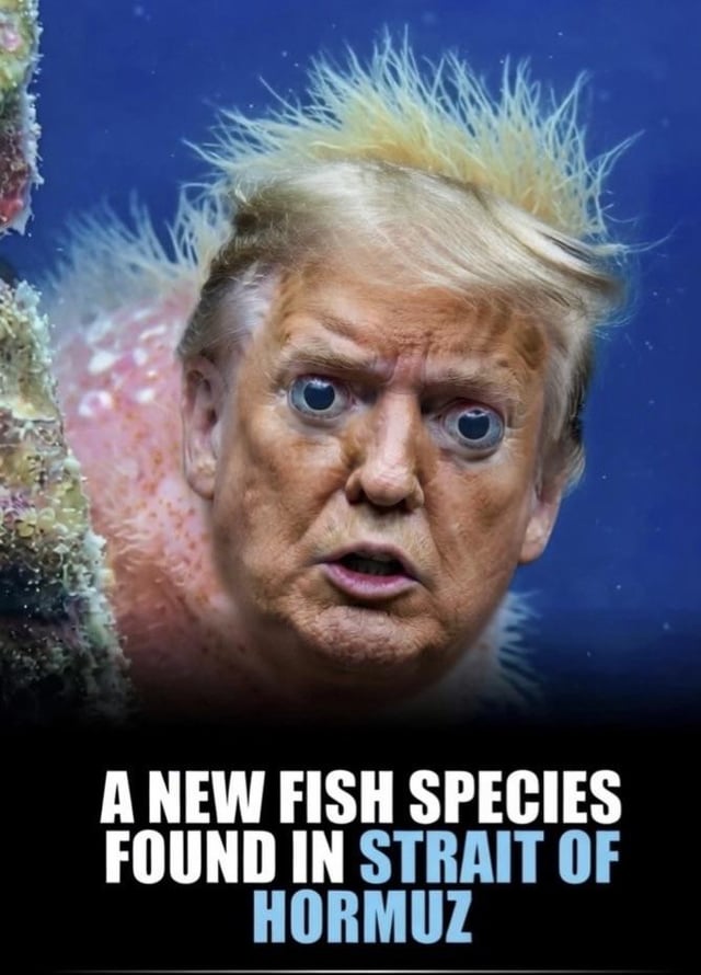 Real World (Former US President)