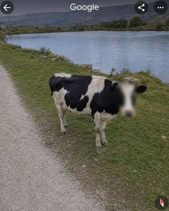 Real-world famous animal