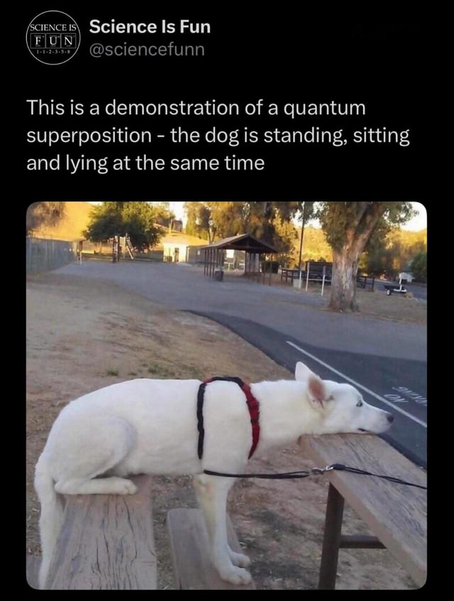 White Dog