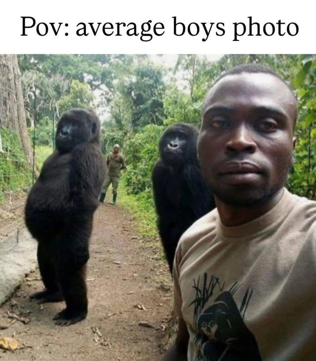 Real wild gorilla encounter
