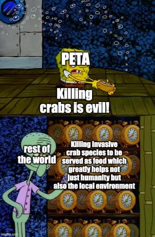 SpongeBob SquarePants