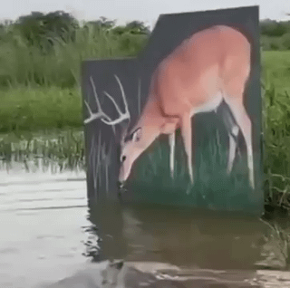 Hunting Target Print