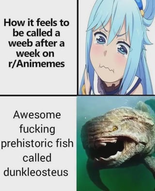 KonoSuba: God's Blessing on This Wonderful World!