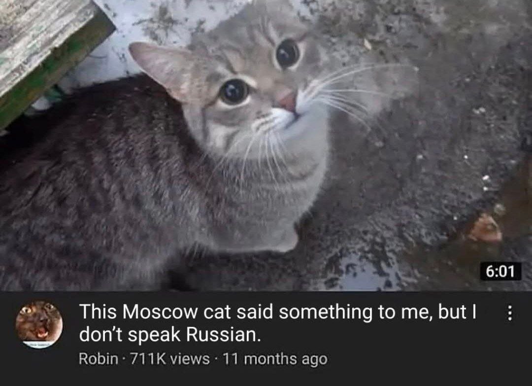 Real Life YouTube Video