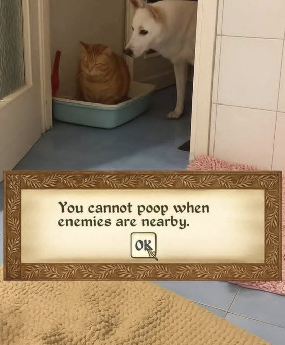 White Dog