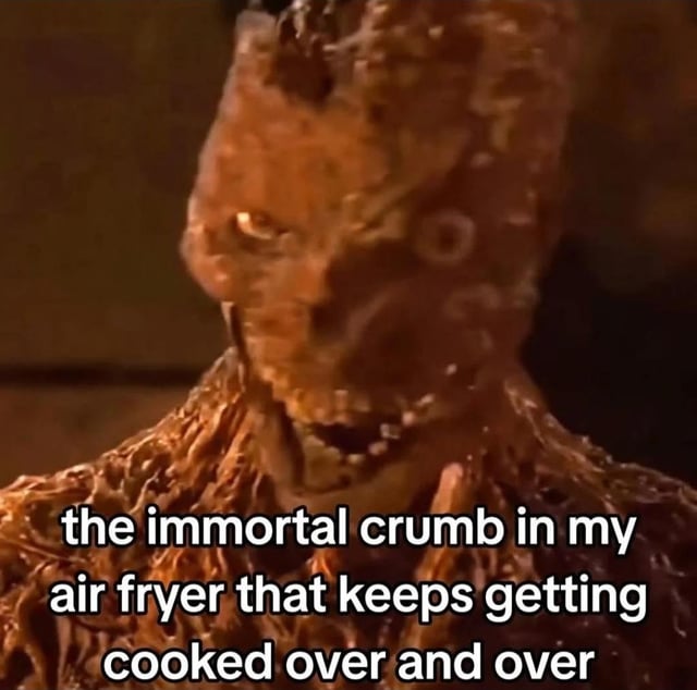 Air Fryer Meme