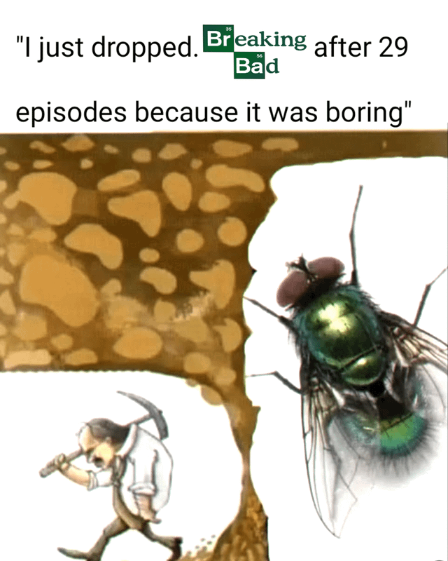 Breaking Bad Season 3 Episode 10 'Fly' reference