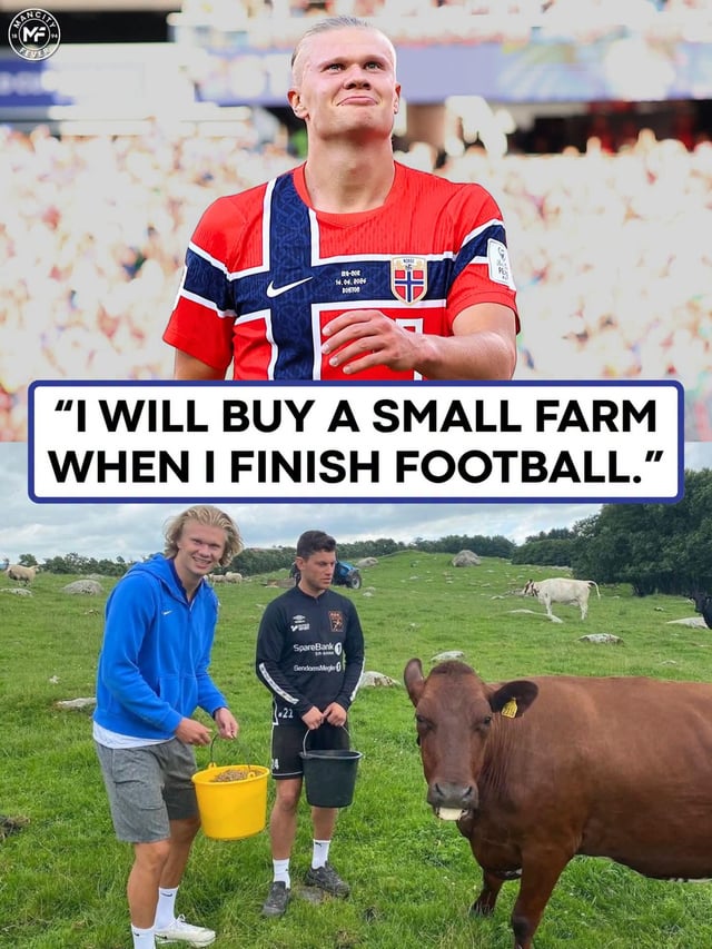 Erling Haaland