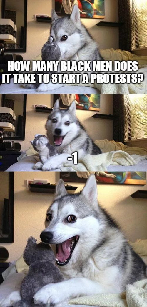 Viral Pet Meme