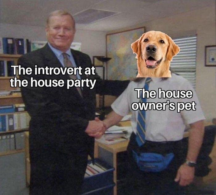 Vintage office handshake stock photo / meme template