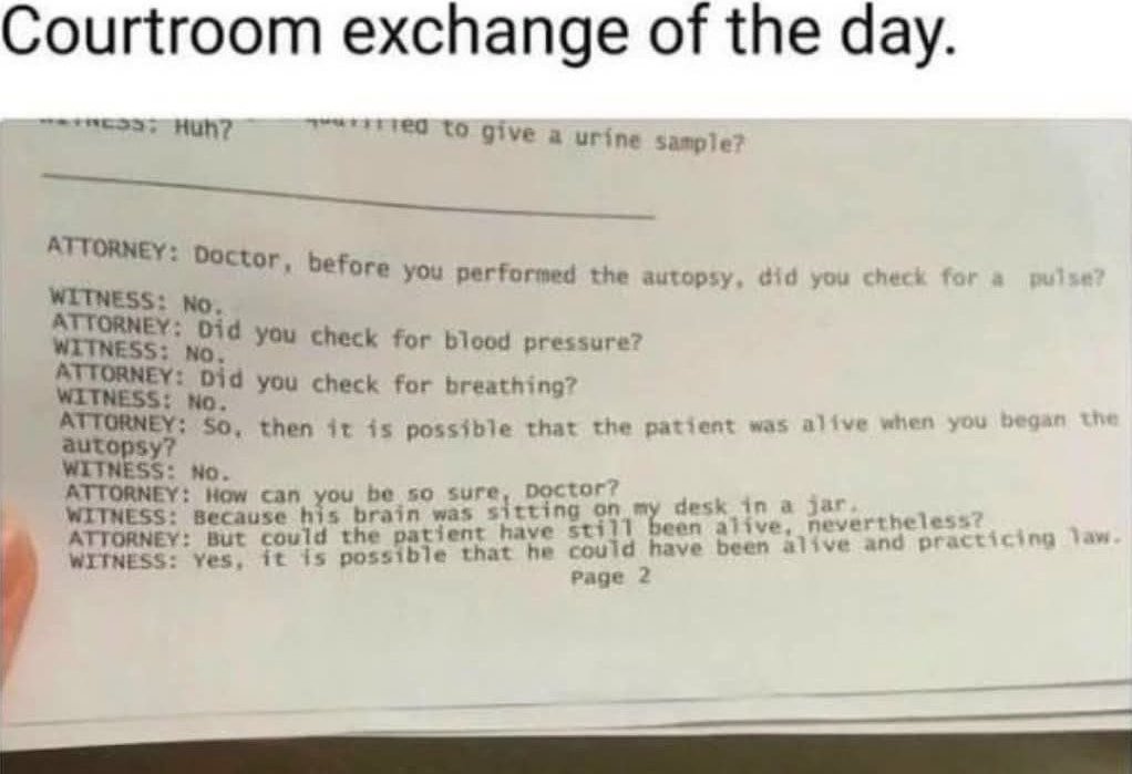 Fictional Courtroom Transcript