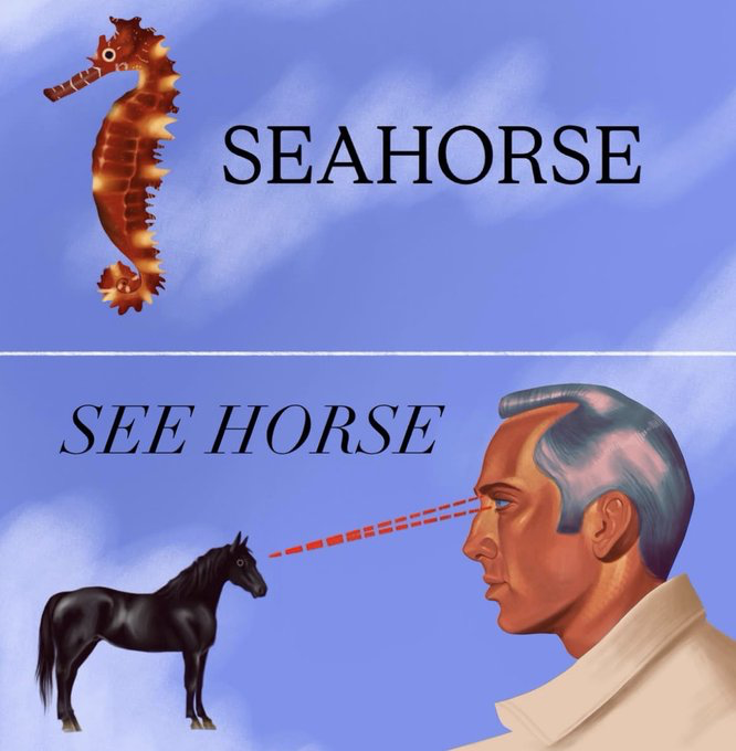 Original Illustration
