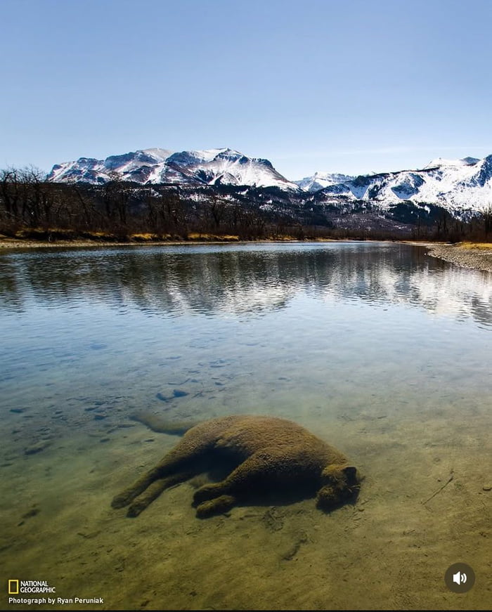 National Geographic nature photograph