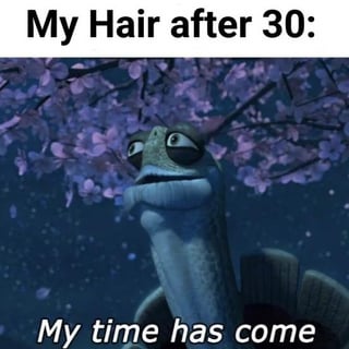 Kung Fu Panda