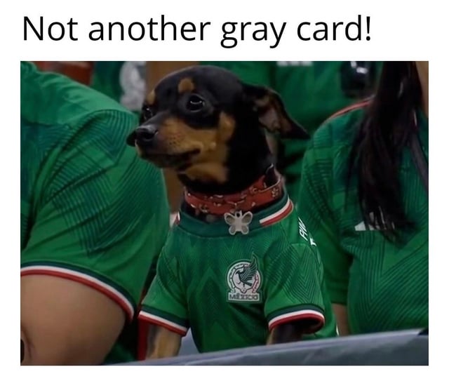 Unidentified Real Dog