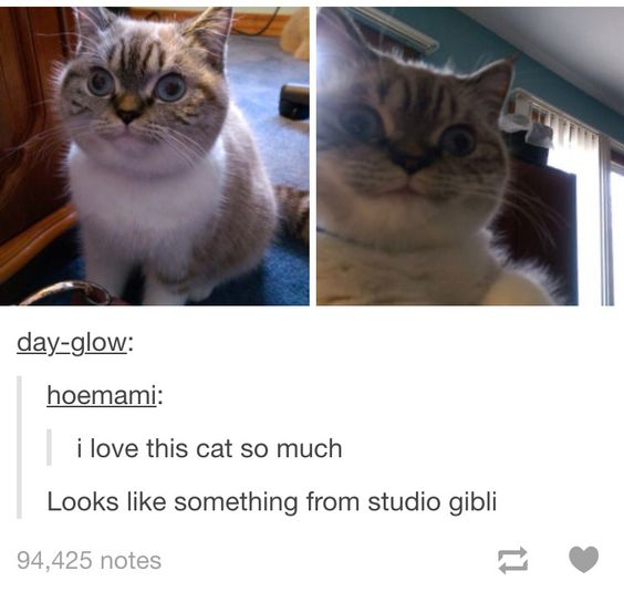 Real Life