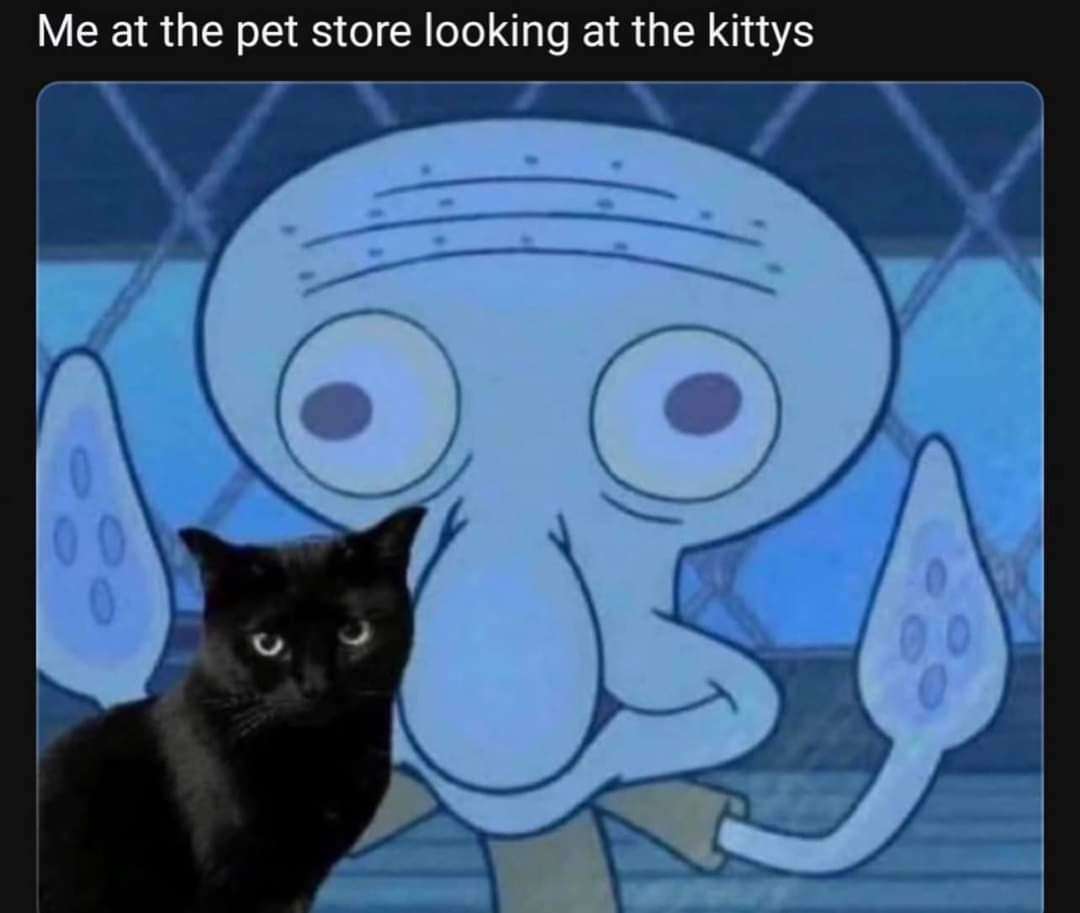 Black Cat