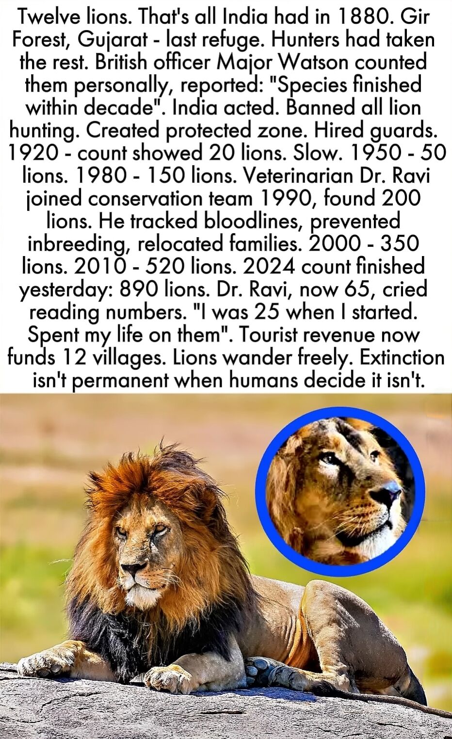 Real Life (British Officer)