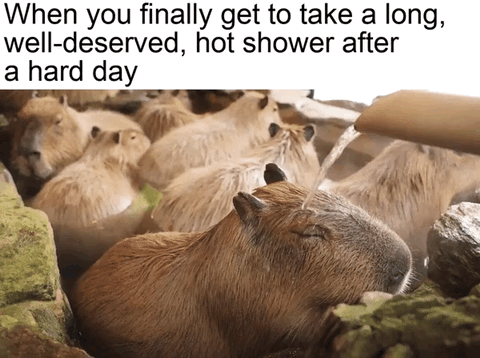 Capybara