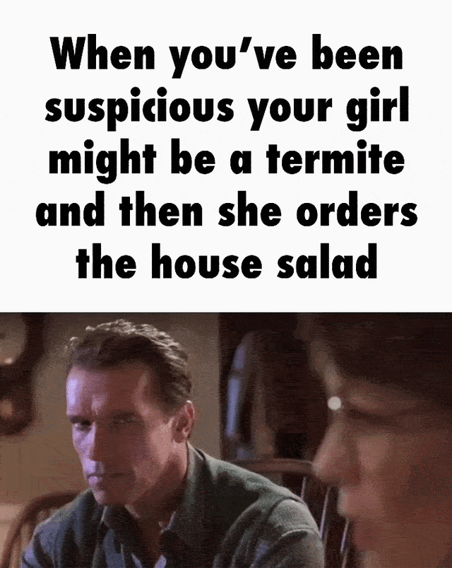 True Lies