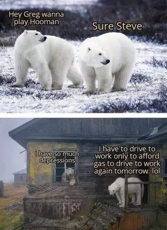 Real animal stock photography