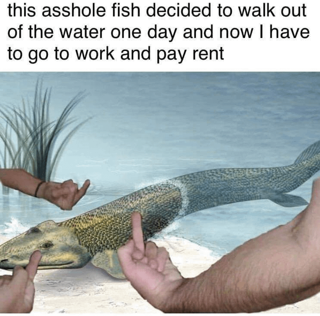 Paleoart Evolutionary Illustration