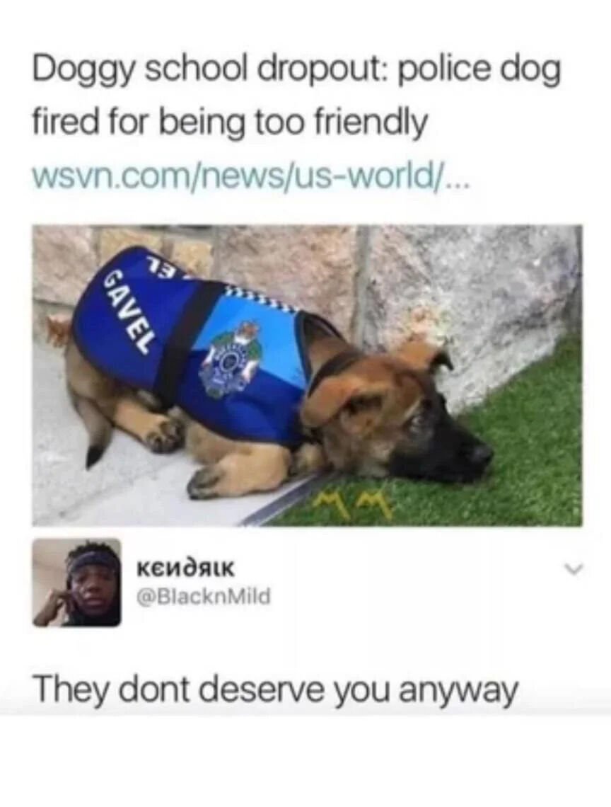 Real Police Dog