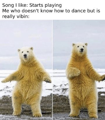 Polar Bear Cub