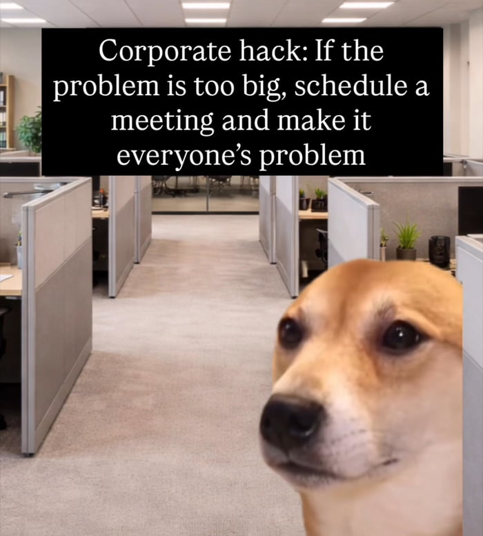 Internet Meme