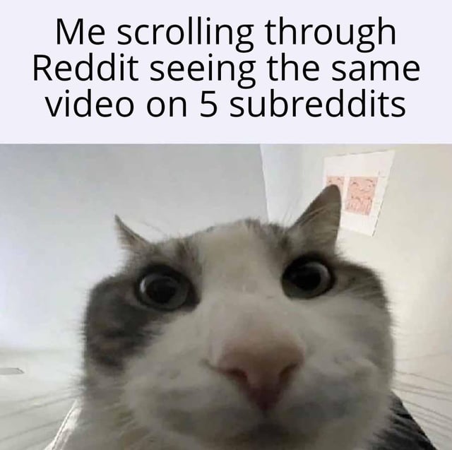 General internet reaction meme