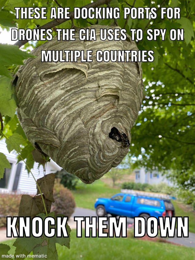 Natural Wildlife