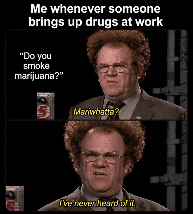 Check It Out! with Dr. Steve Brule
