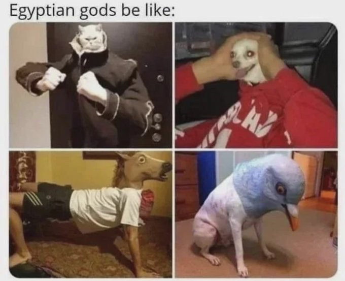 Meme compilation