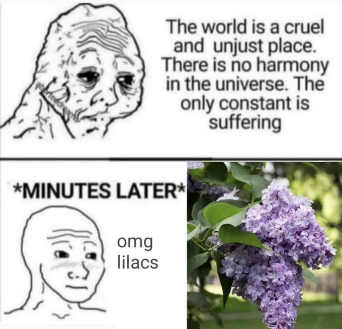 Doomer Wojak