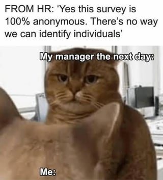 Popular cat meme stock image