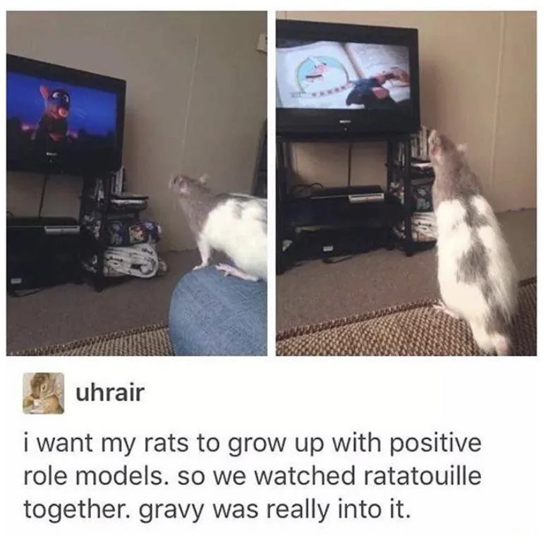 Ratatouille (Pixar Animated Film)