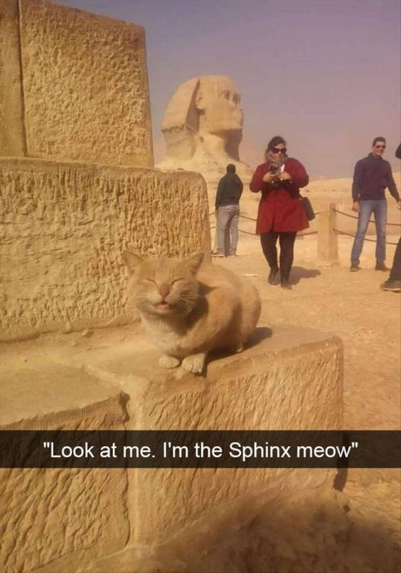 Candid Tourist Photograph (Giza Plateau)