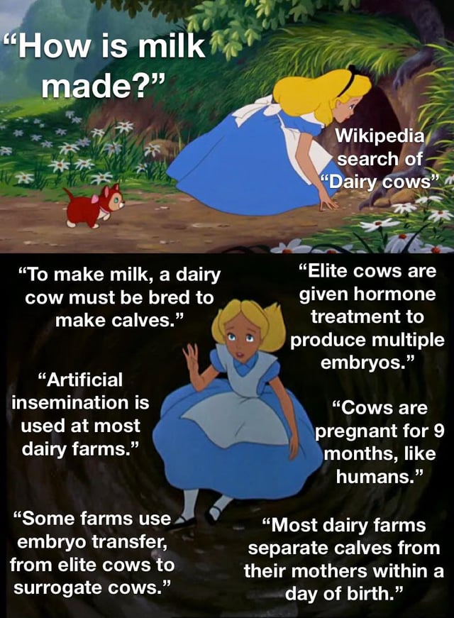 Disney's Alice in Wonderland (1951)