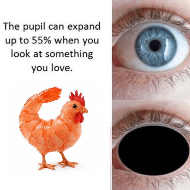 Original 3D Meme Asset